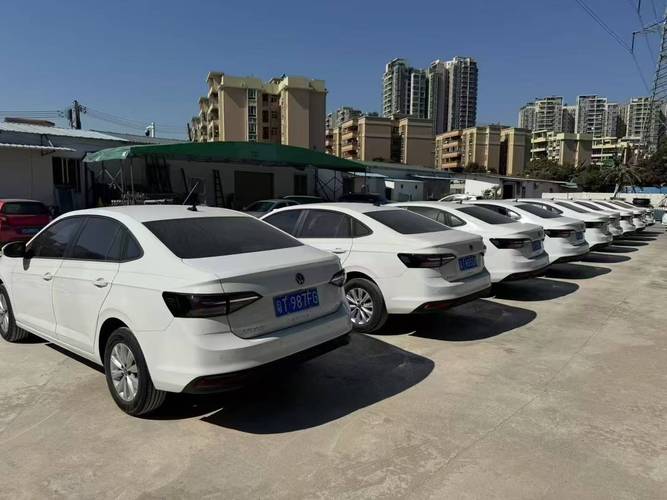 价格影响因素,揭秘昂贵租车价格和suv租车价格的真相_汽车_网